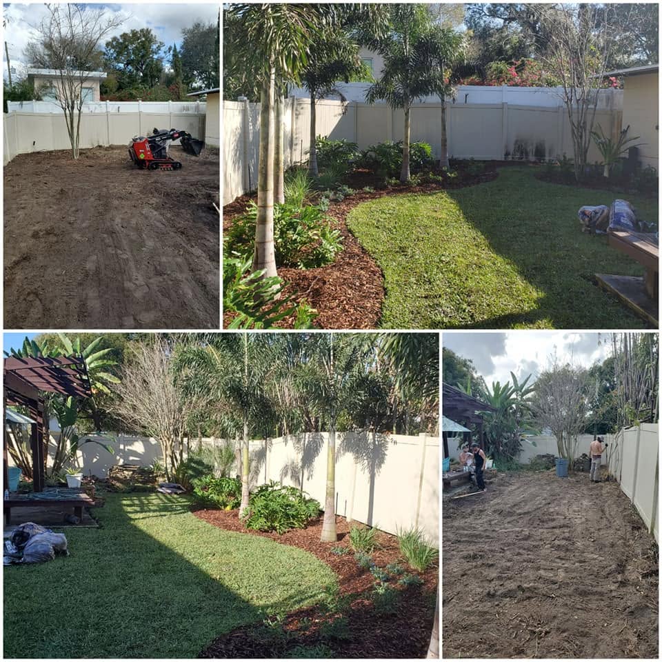 Backyard transformation with palm trees, mulch beds, and new sod