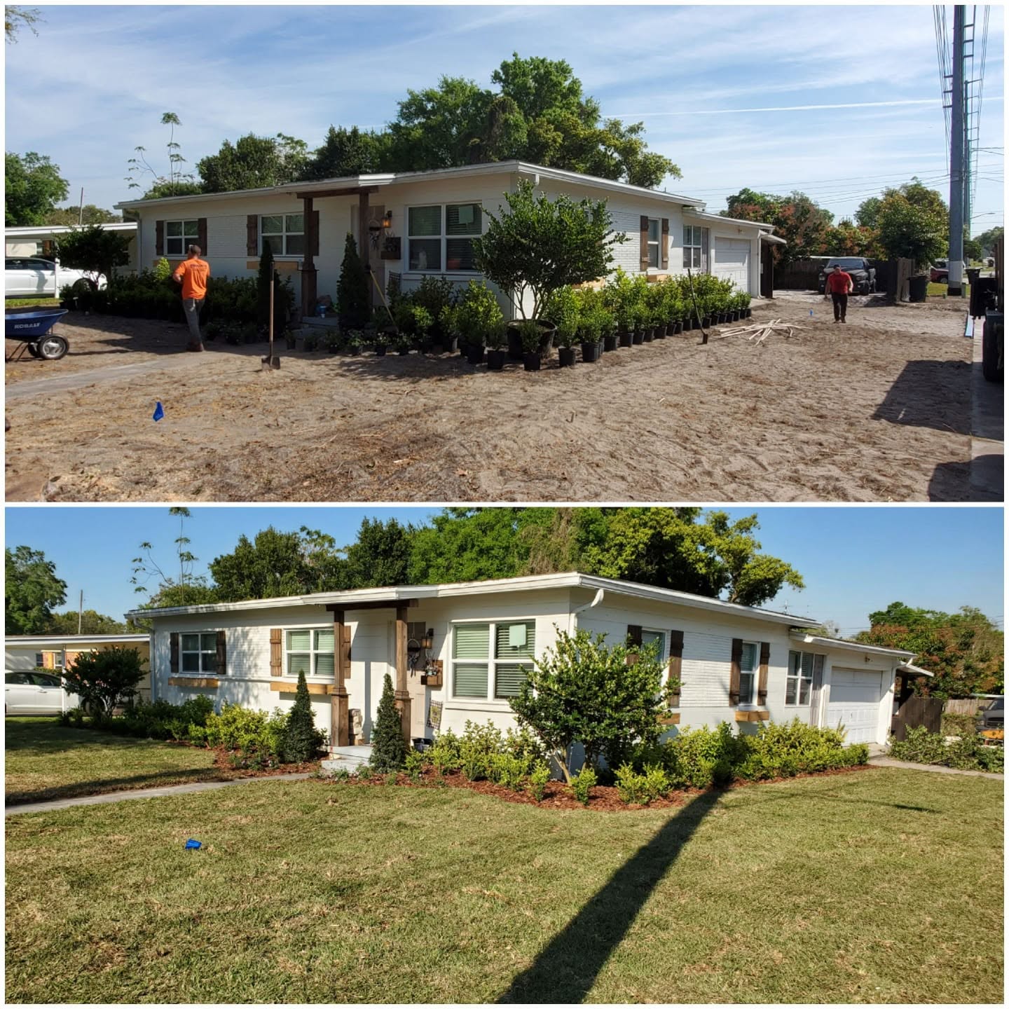 Before and after front yard landscape makeover with fresh plantings