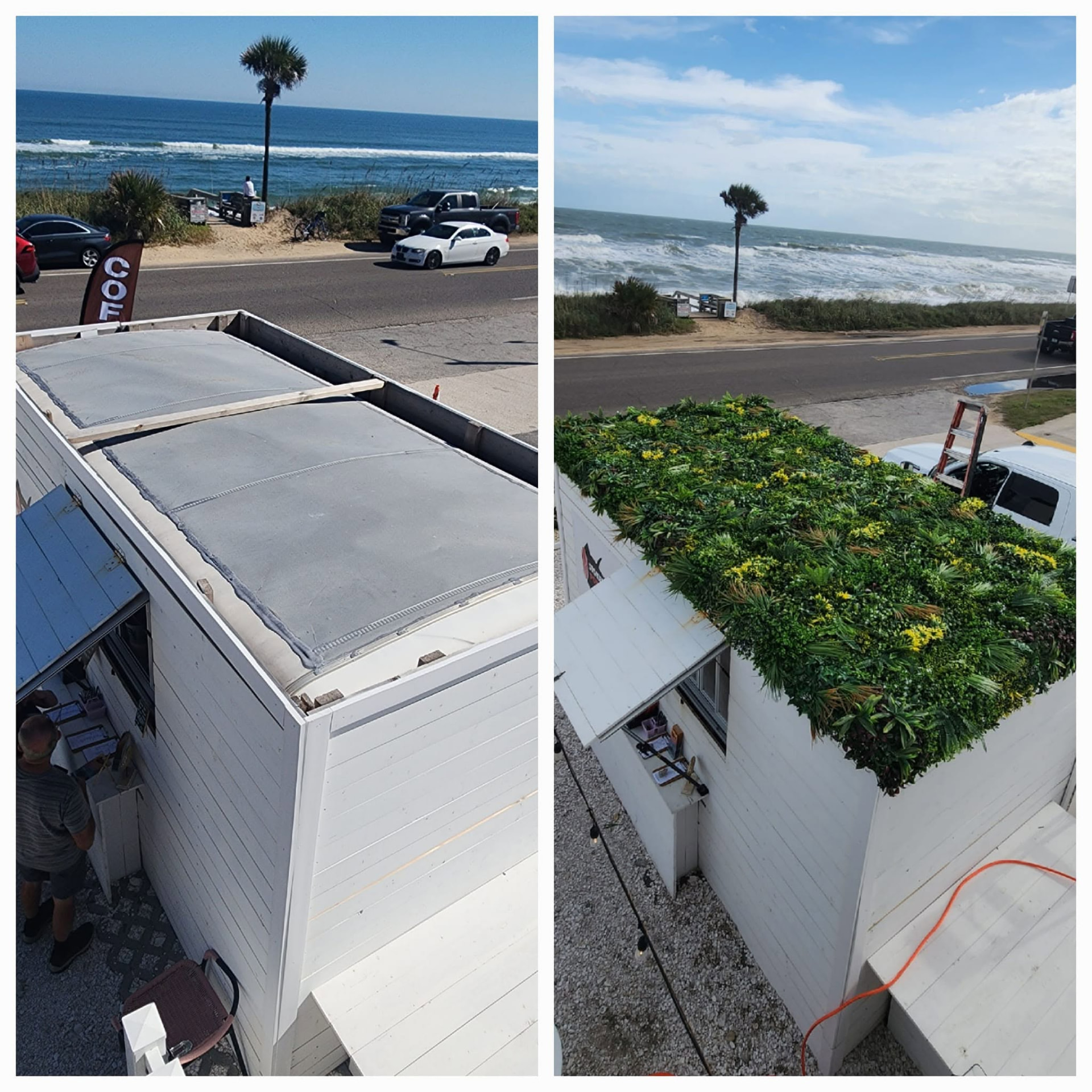Rooftop artificial greenery installed on a beachside building