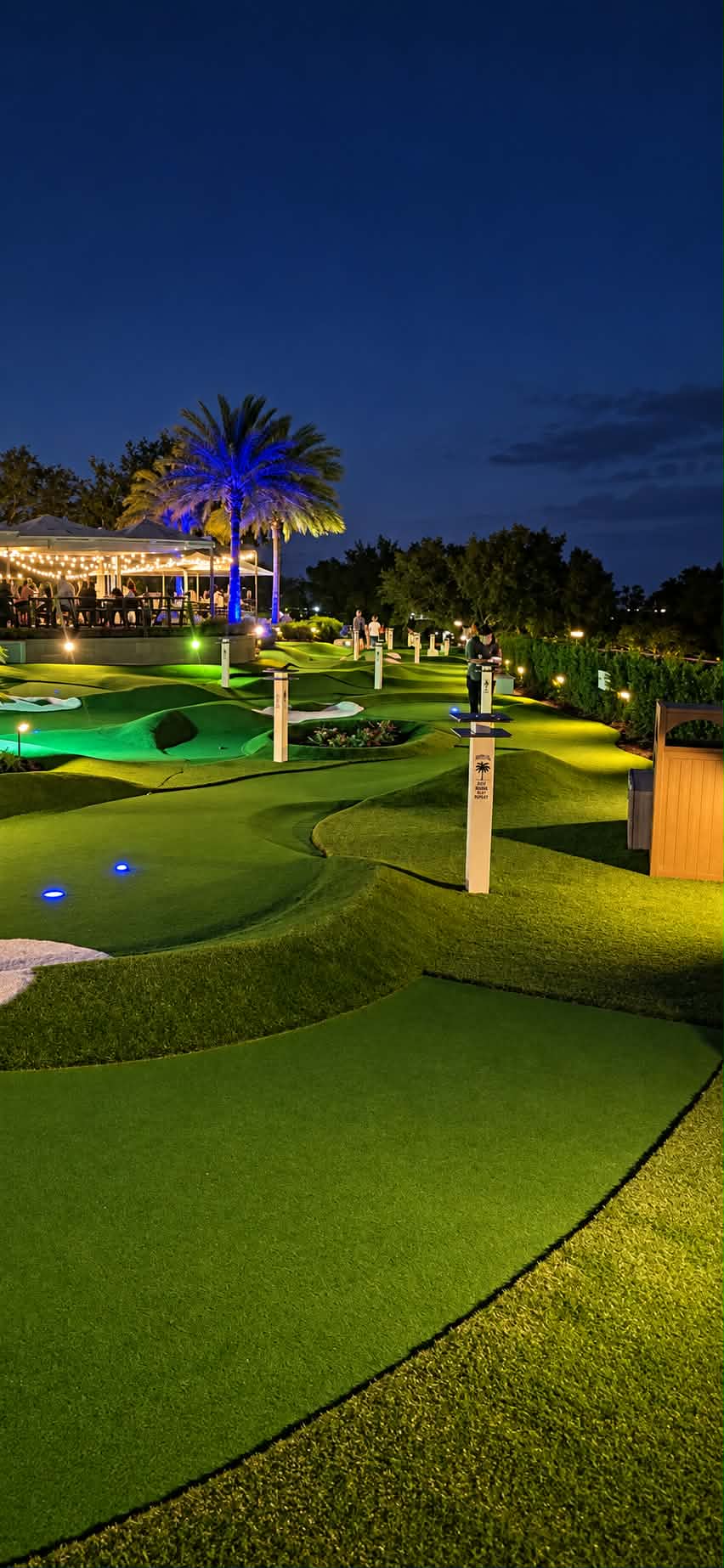 Backyard putting green with landscape lighting and palm trees at dusk